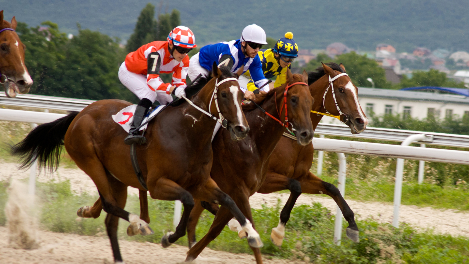 horse racing